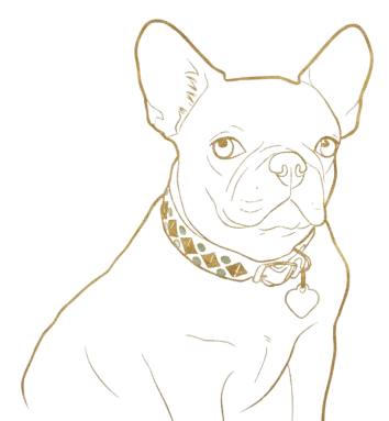 Guardian illustration